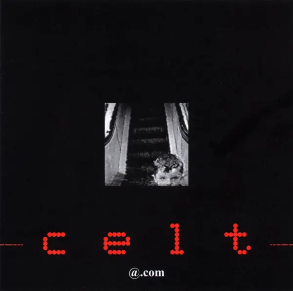 Un wennol — Celt