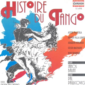 Flute and Guitar Recital: Balint, Janos - Paulikovics, Pal - Piazzolla, A. - Villa-Lobos, H. - Rodrigo, J. - Machado, C. - Shankar, R.