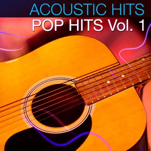 Acoustic Hits - Pop Hits Vol. 1