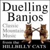 Duelling Banjos (Deliverence) - The Hillbilly Cats