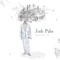 Particles - Josh Pyke lyrics