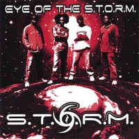 Eye of the S.T.O.R.M. - Storm