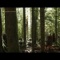 Oceans Edge - jeff owens lyrics