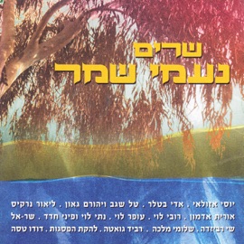 Im Guitar Dudu Tassa