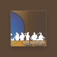 Vibe Syndicate