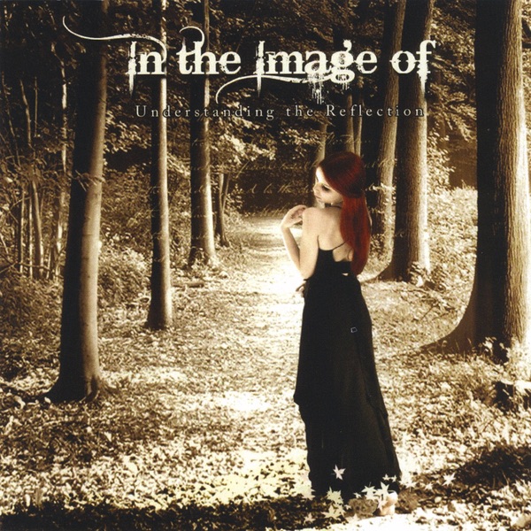 Understanding the Reflection album cover