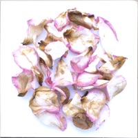 In Love & Light vol. I - Holmes Ives