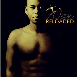 Miss Real, Mr Regular (Remix) [feat. Omen] WAX