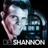 Cover art for Del Shannon by Del Shannon