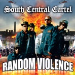 Random Violence