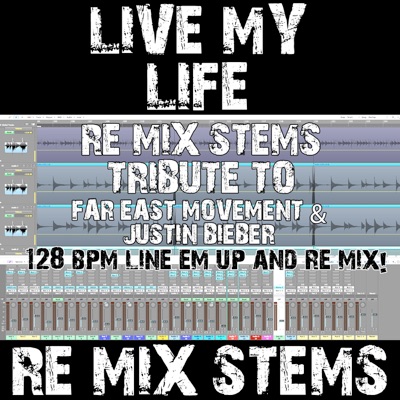 Re-Mix Stems - Live My Life (Instrumental Re-Mix Stem 128 BPM)
