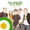 In Search of a Rose - Shamrocknroll