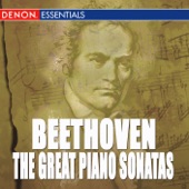 Beethoven: The Great Piano Sonatas artwork