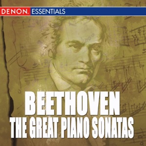 Beethoven: The Great Piano Sonatas