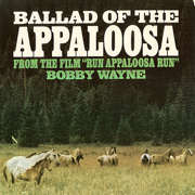Ballad of the Appaloosa - Bobby Wayne