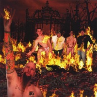 Less Talk & More Rock!