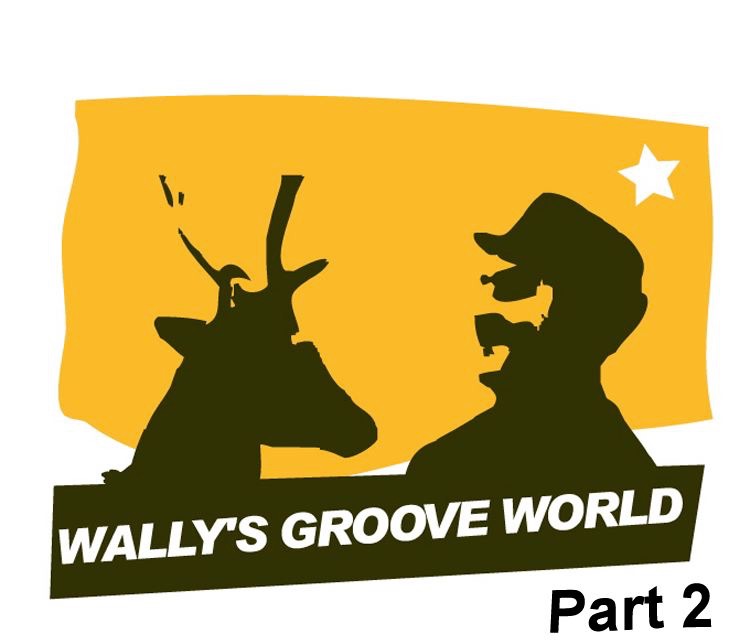 The Best of Wally's Groove World, Pt. 2
