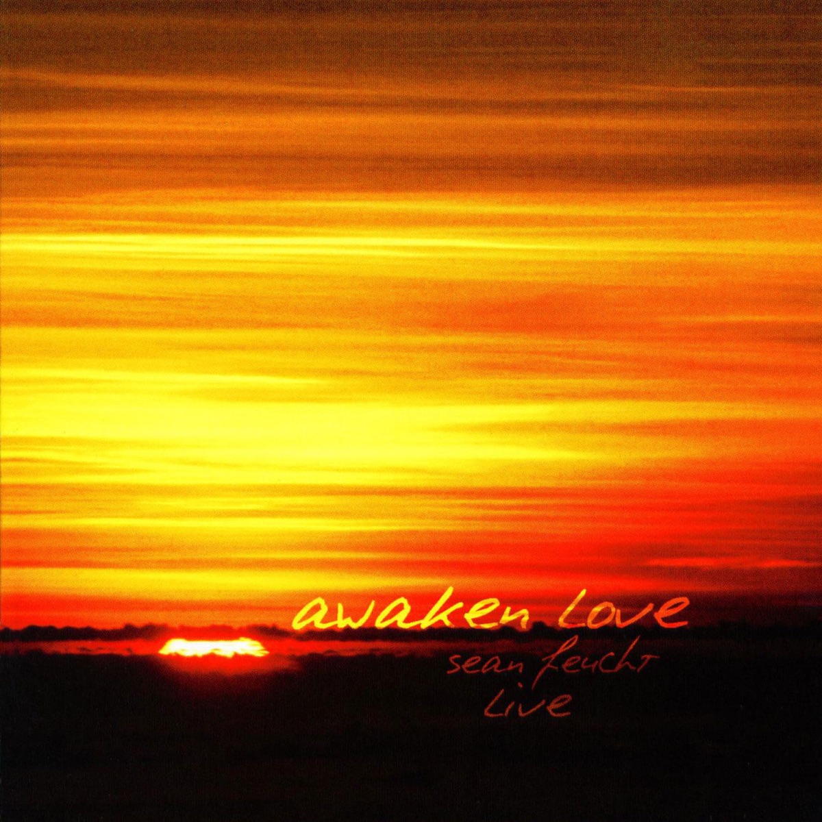 Awaken Love cover art