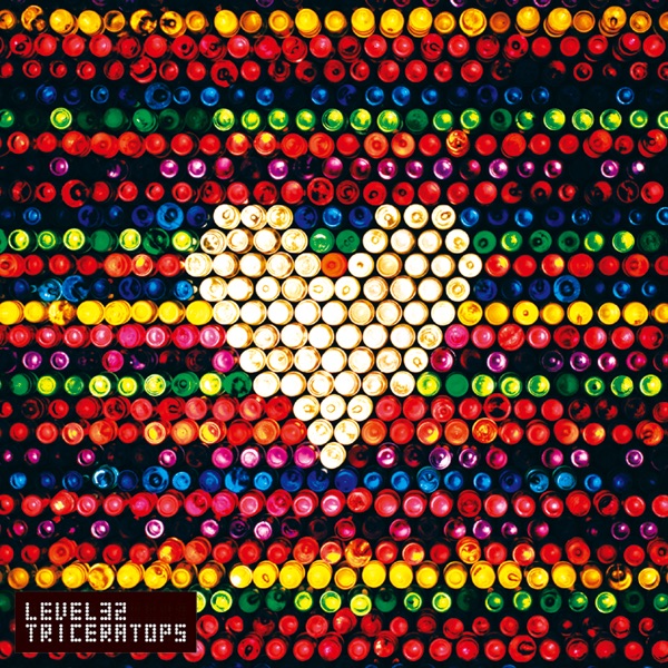 フジファブリック　CHRONICLE レコード CHRONICLE (再プレス/2枚組アナログレコード) : フジファブリック