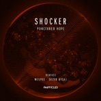 Punctured Hope - Single