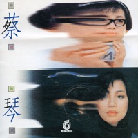 蔡琴 - 我和我自己的影子