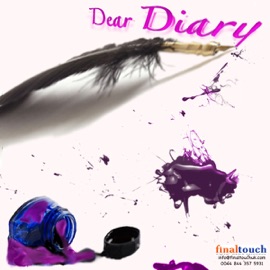 Dear Diary soFLY