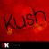 Kush (feat. Snoop Dogg & Akon) - Cover Guru