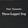 Peter Tammetta - Coyote