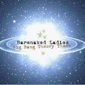 Big Bang Theory Theme