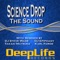 The Sound (Takaki Matsuda Remix) - Science Drop lyrics
