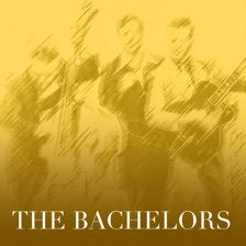 Diane by The Bachelors — cover art