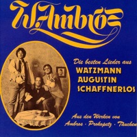 Die besten Lieder aus Watzmann, Augustin, Schaffnerlos - Wolfgang Ambros