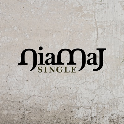 Hip Hop Is You (Remix)