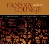 Tantra Lounge, Vol. 5
