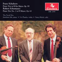 Piano Trio No. 1 in D minor, Op. 63: I. Mit Energie und Leidenschaft — Yuval Trio