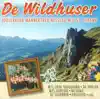 De Wildhuser - De Schlingel - Willi Valotti und sini Musikante (Ländler)