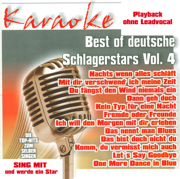 Du fängst den Wind niemals ein (Instrumentalversion) - Karaokefun