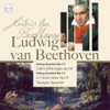 String Quartet No. 13: Finale