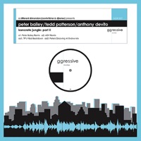 Cevin Fisher & DJ Kelee Presents 