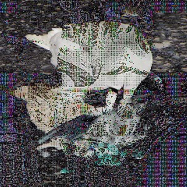 Full Moon (Death Classic) - Single by Death Grips album cover
