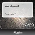 Wonderwall