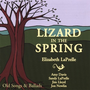 Lizard In the Spring