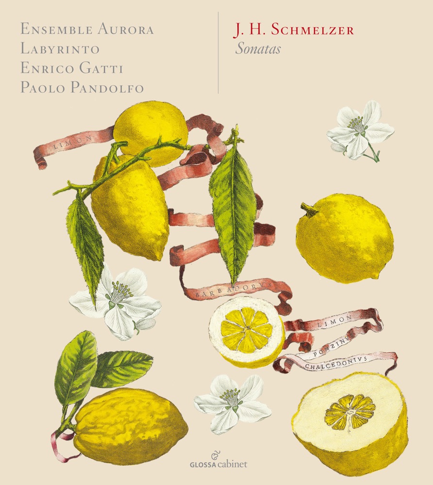 Обложка альбома «Schmelzer: Sonatas» — Paolo Pandolfo, Enrico Gatti, Ensemble Aurora & De Labyrintho