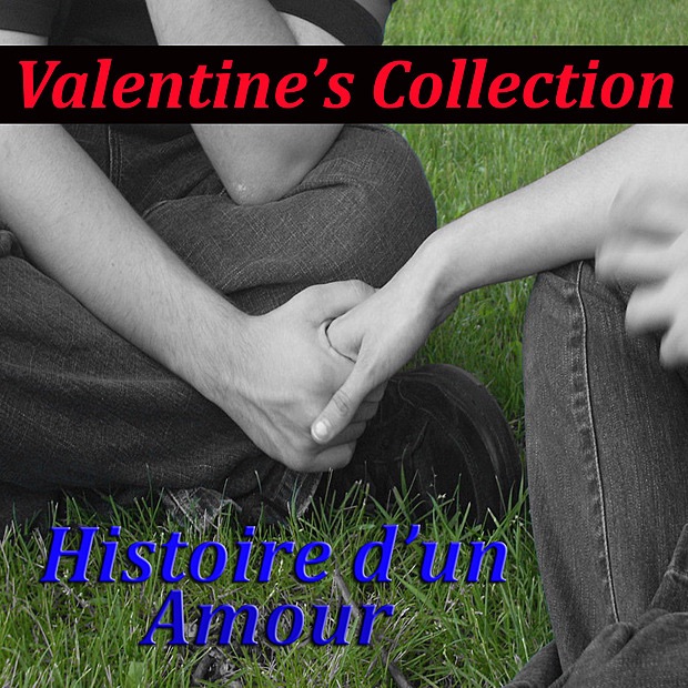 Cover du titre Quadrille au village
