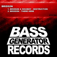 Destruction EP (feat. Noizeboy) - Single - Bridson