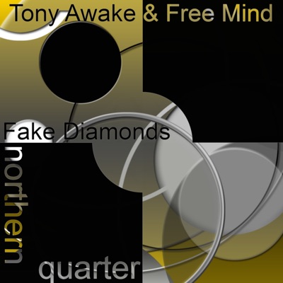 Fake Diamonds - Single