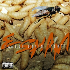 Maggot Brain Theory Esham