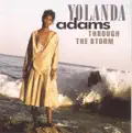 Through The Storm