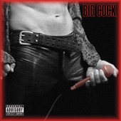 Big Cock - She's a Lady