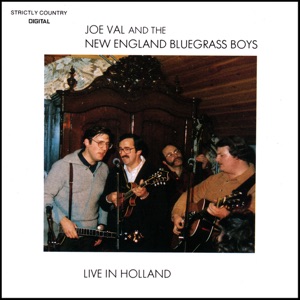 Live In Holland